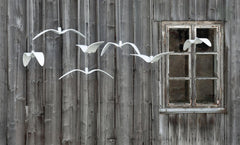 Aviara LED Pendant Light