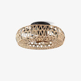 Twine With Remote Ceiling Fan Lamp