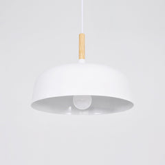 Acorn Pendant Light