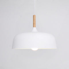 Acorn Pendant Light
