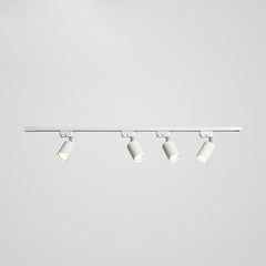 Adjustable Spotlight Track Ceiling Light
