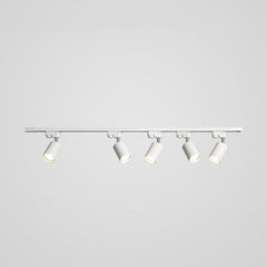 Adjustable Spotlight Track Ceiling Light