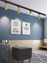 Adjustable Spotlight Track Ceiling Light