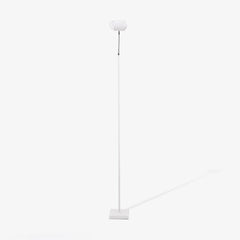 Ambient Floor Lamp