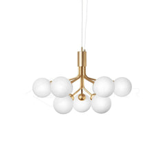 Apiales Chandelier