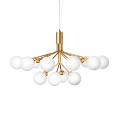 Apiales Chandelier