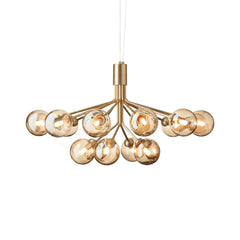 Apiales Chandelier