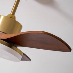 Aurevo Ceiling Fan Light