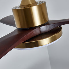 Aurevo Ceiling Fan Light