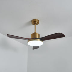 Aurevo Ceiling Fan Light