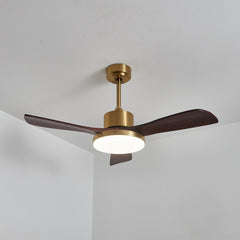 Aurevo Ceiling Fan Light