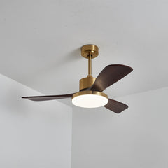 Aurevo Ceiling Fan Light