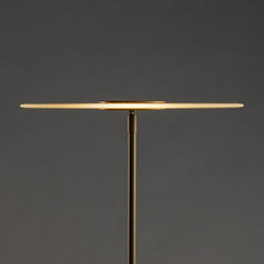Luxora Floor Lamp