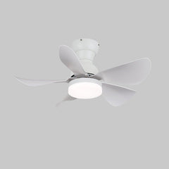 Small Arilia 29" Ceiling Fan Light