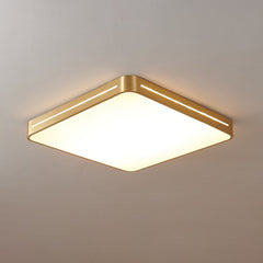 Caelum Ceiling Light