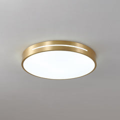 Caelum Ceiling Light