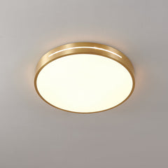 Caelum Ceiling Light