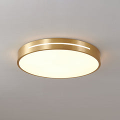 Caelum Ceiling Light