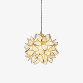 Capiz Pendant Lamp