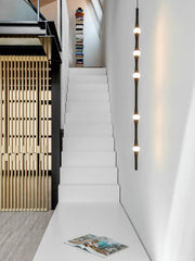 Dew Explores Pendant Light