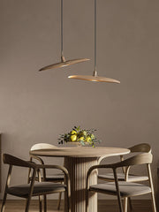 Paddle Boat Chandelier