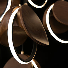 Elliot Rings Chandelier