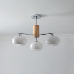 Elliptical Persimmon Chandelier