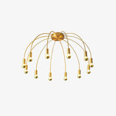 Fireworks Ceiling Lamp