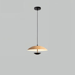 Frisbee Pendant Lamp