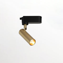 Gilded Rail Track Light