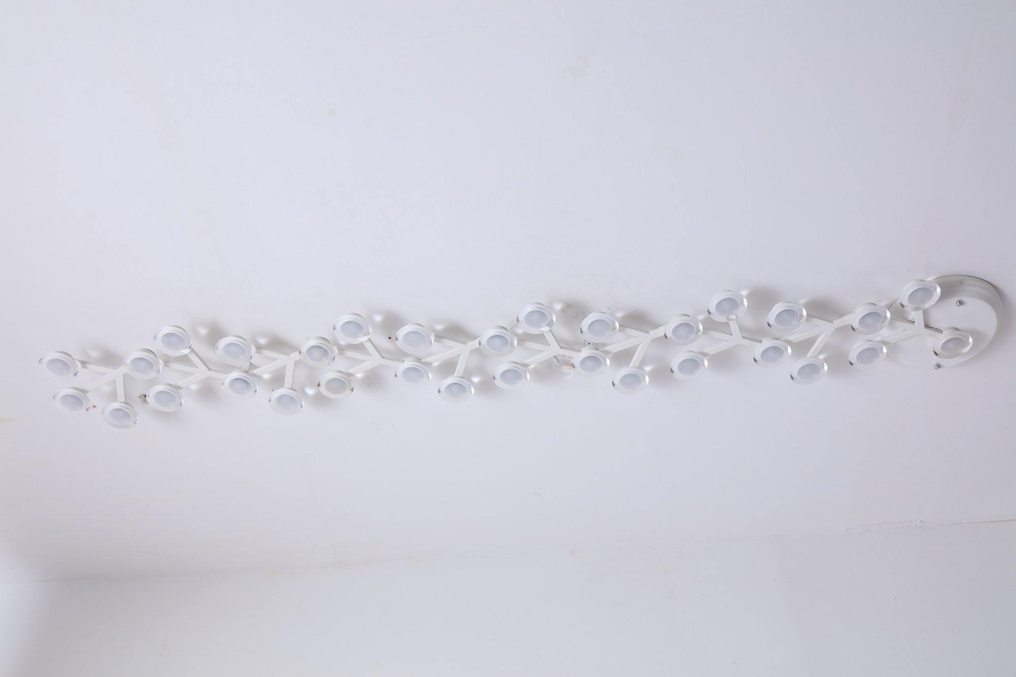 LED Net Ceiling Lamp