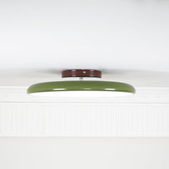 Drift Adjustable Ceiling Lamp