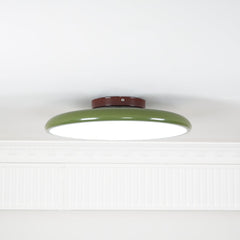 Drift Adjustable Ceiling Lamp