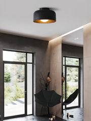 Lumosphere Ceiling Light