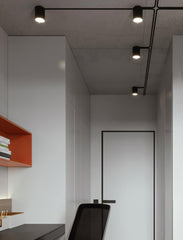 Maxi Rebel Spotlight