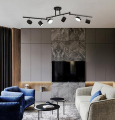 Track Light Ceiling Light