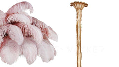Ostrich Feather Chandelier