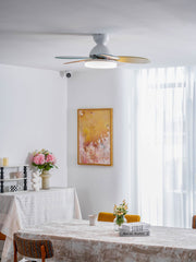 Petalo Ceiling Fan Light