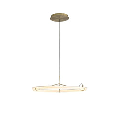 Ring Nodes Pendant Lamp
