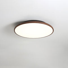 Thin Geometry Shape Ceiling Lamp