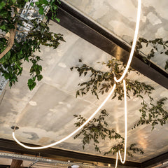 Flexible Curve linear Pendant Lamp