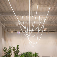 Flexible Curve linear Pendant Lamp