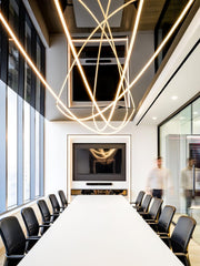 Flexible Curve linear Pendant Lamp