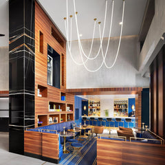 Flexible Curve linear Pendant Lamp