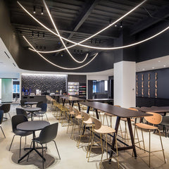 Flexible Curve linear Pendant Lamp