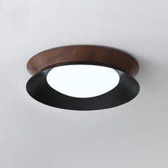 Double Half Round Ceiling Light