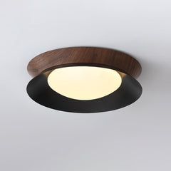 Double Half Round Ceiling Light