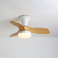 Brisa Ceiling Fan Light