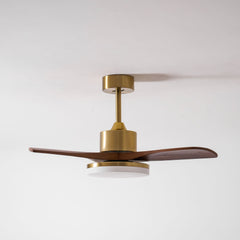 Aurevo Ceiling Fan Light