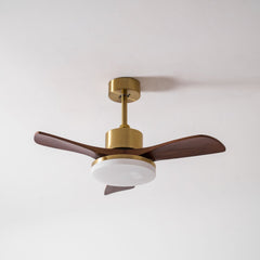 Aurevo Ceiling Fan Light